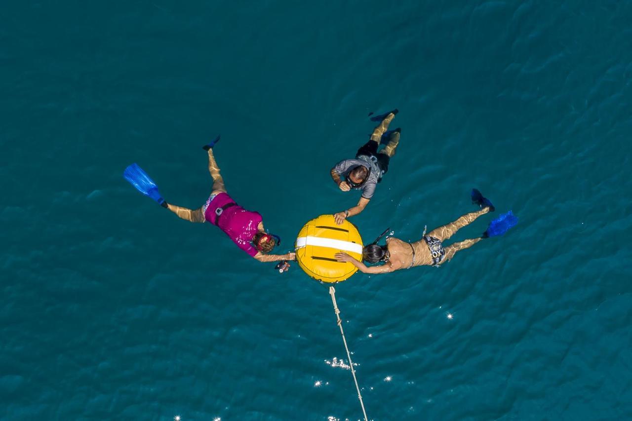 New Heaven Dive School And Resort Ko Tao Exterior foto